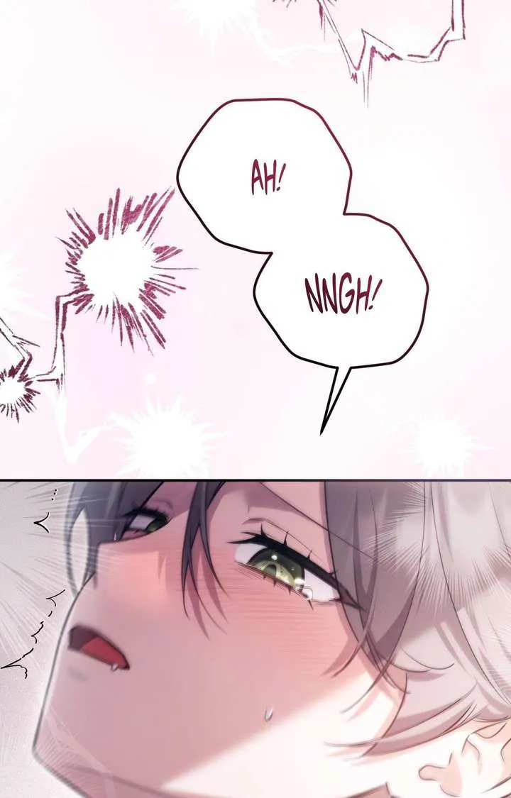 The Substitute Bride Chapter 49 Online - página 64