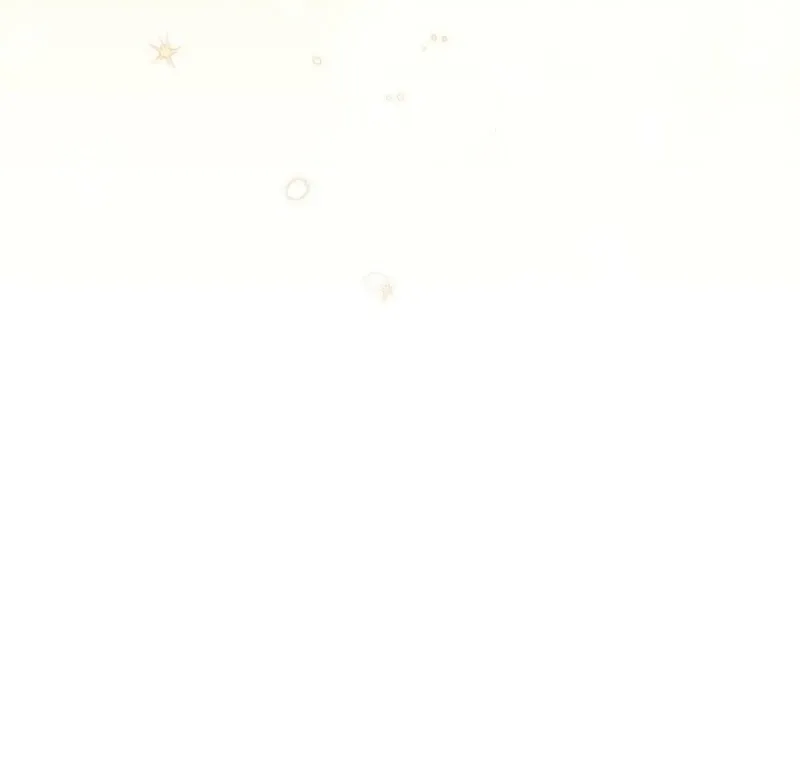 The Teacher of the Nobles’ Kindergarten Is Having a Hard Day Again Chapter 13 Online - página 134