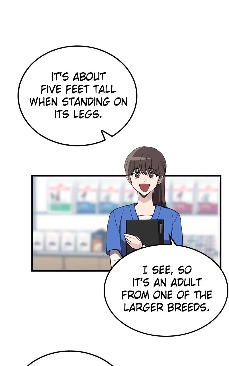 The Team Leader is Tired of Being A Newlywed Chapter 3 Online - página 13
