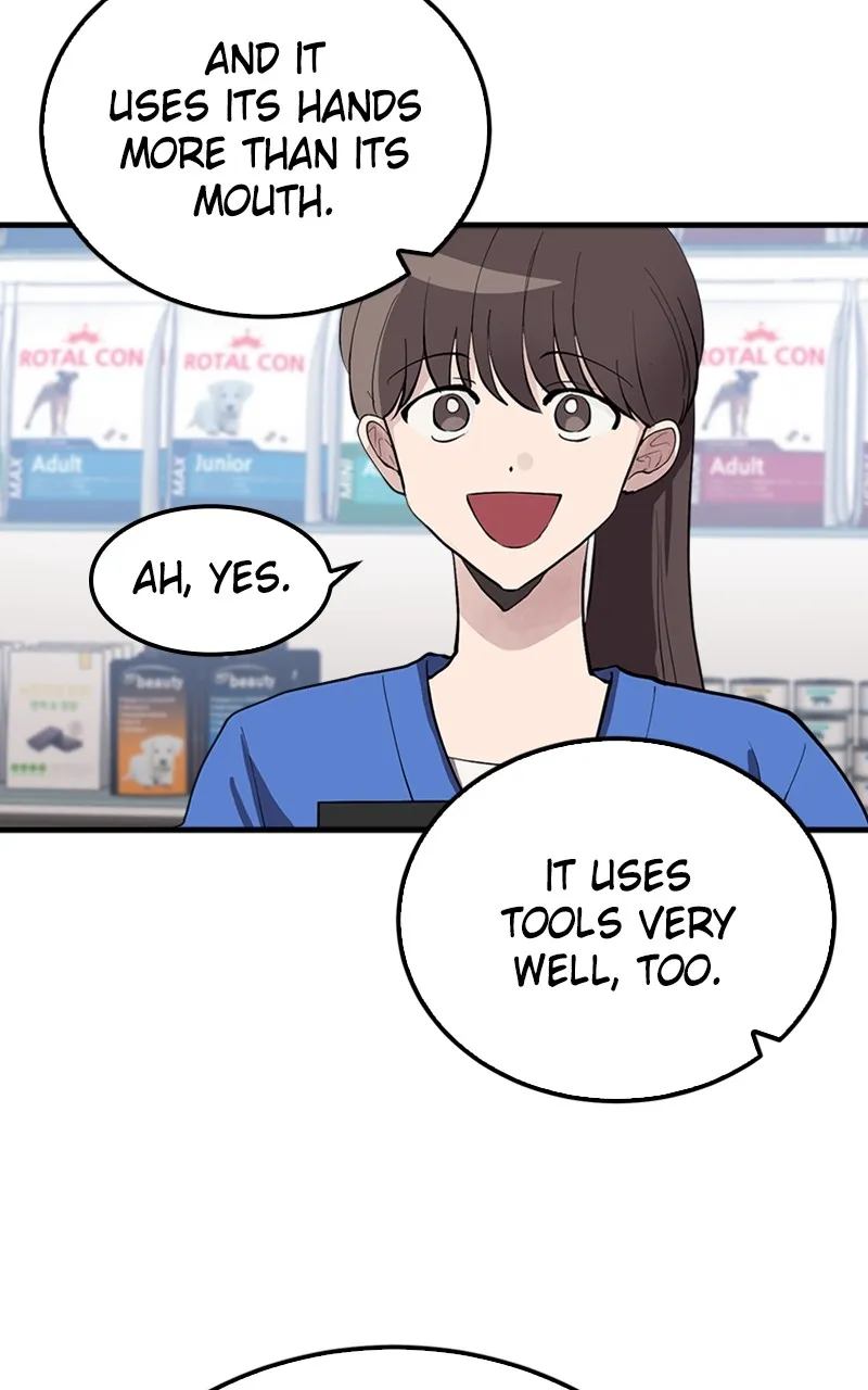The Team Leader is Tired of Being A Newlywed Chapter 3 Online - página 14