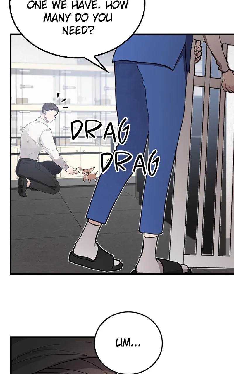 The Team Leader is Tired of Being A Newlywed Chapter 3 Online - página 20
