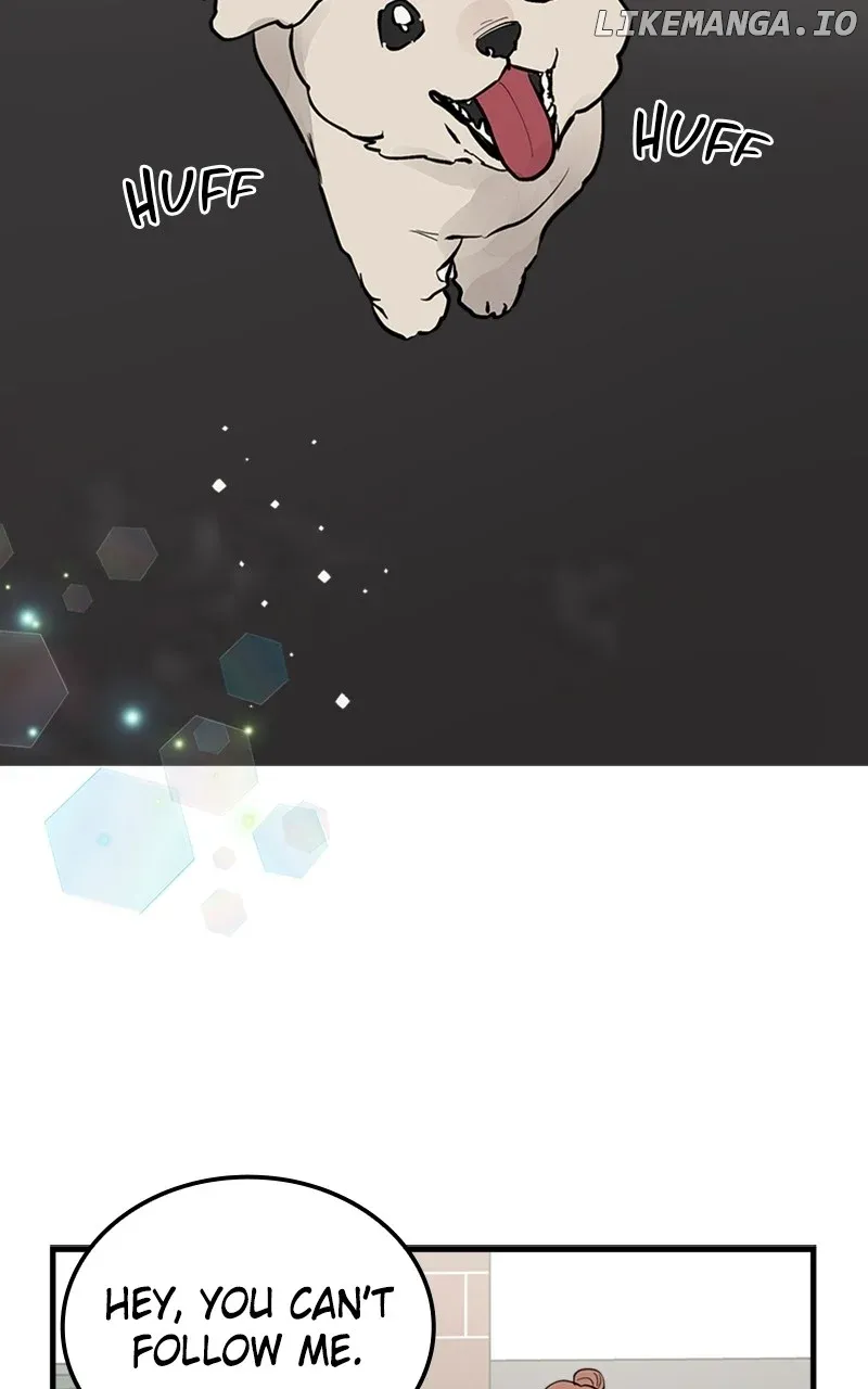 The Team Leader is Tired of Being A Newlywed Chapter 59 Online - página 3