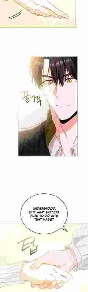 The Tower Master Who Became the Grand Duchess Chapter 18 Online - página 11