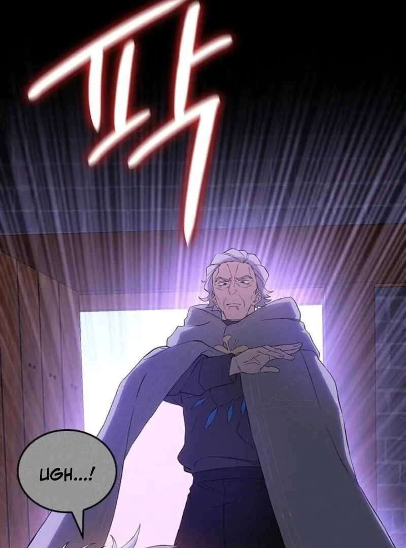 The Tower Master Who Became the Grand Duchess Chapter 37 Online - página 43