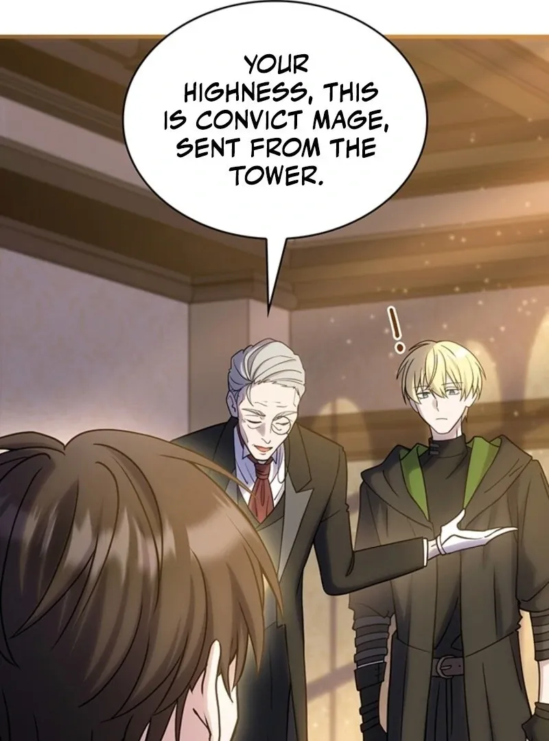 The Tower Master Who Became the Grand Duchess Chapter 42 Online - página 24