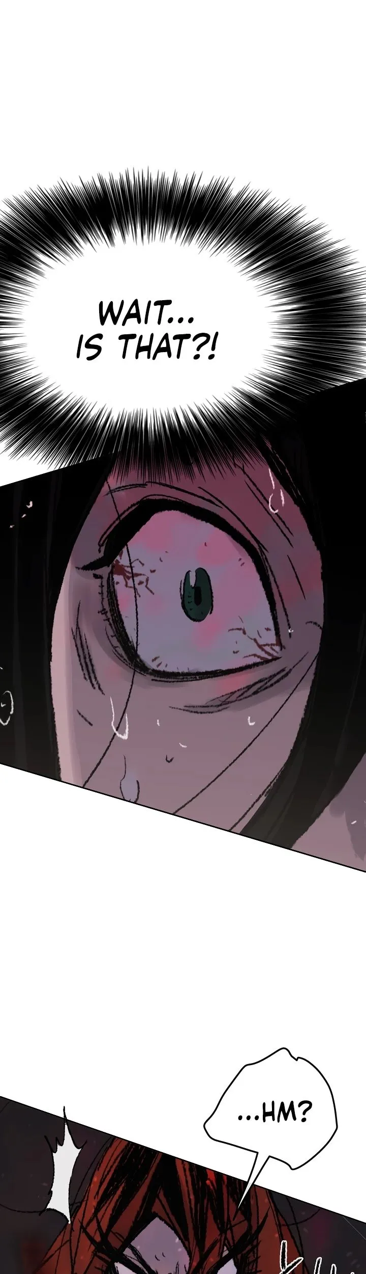 The Undefeatable Swordsman Chapter 52 Online - página 5