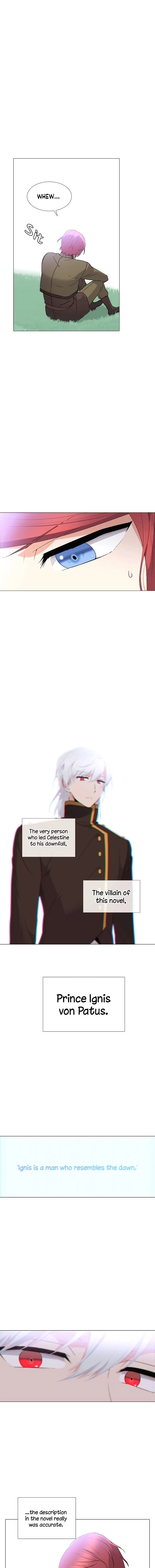 The Villain Discovered My Identity Chapter 2 Online - página 11