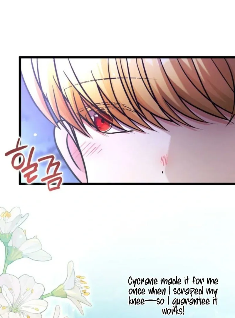 The Villain Family’s New Daughter-In-Law Chapter 62 Online - página 16