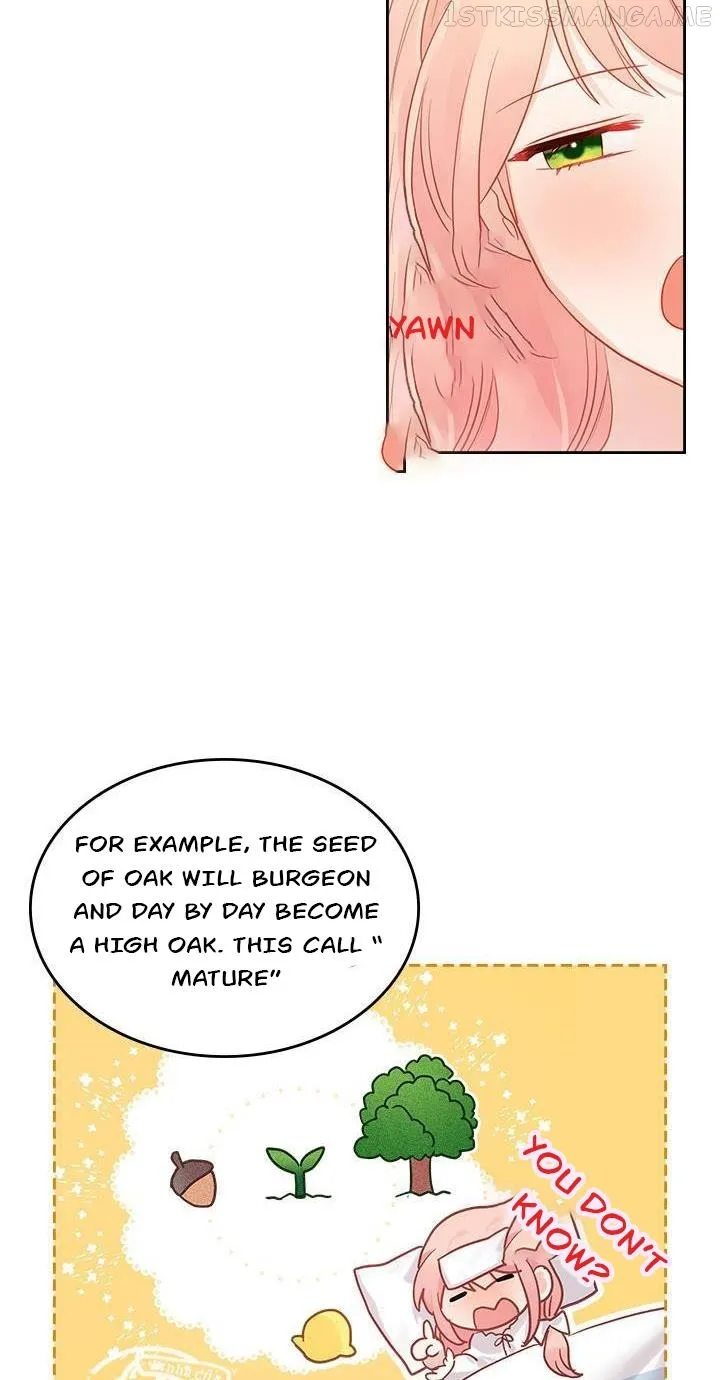 The Villainous Princess Wants to Live in a Gingerbread House Chapter 27.1 Online - página 16