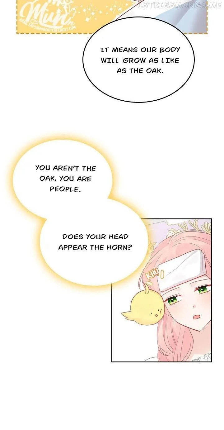 The Villainous Princess Wants to Live in a Gingerbread House Chapter 27.1 Online - página 17