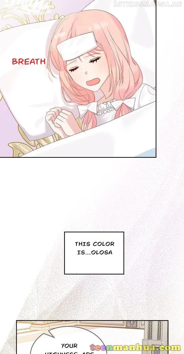 The Villainous Princess Wants to Live in a Gingerbread House Chapter 27.1 Online - página 19