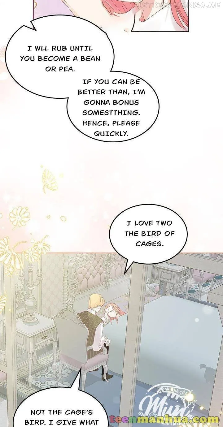 The Villainous Princess Wants to Live in a Gingerbread House Chapter 27.1 Online - página 21