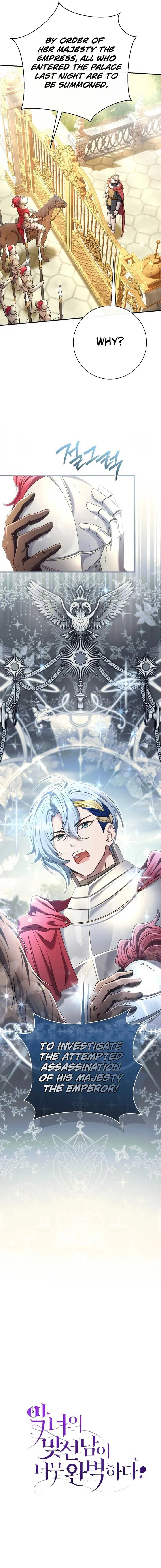 The Villain’s Match Is Too Perfect Chapter 79 Online - página 17