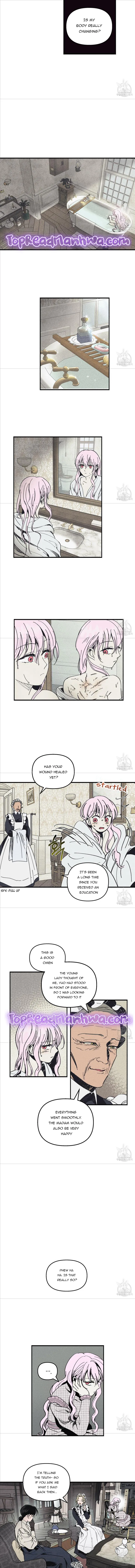 The Witches’ Isle Chapter 14 Online - página 3