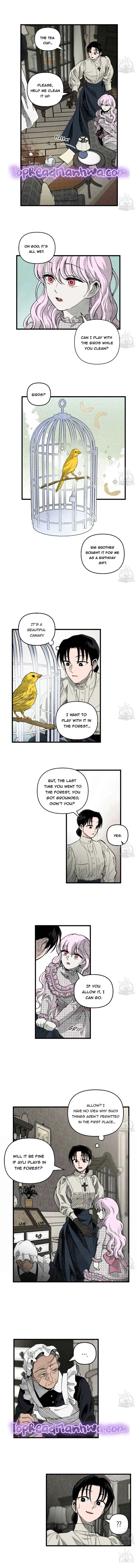 The Witches’ Isle Chapter 3 Online - página 5
