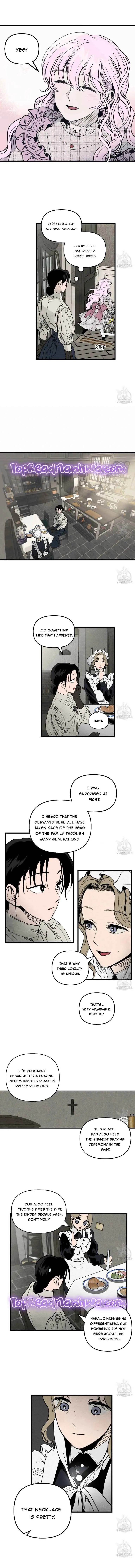 The Witches’ Isle Chapter 3 Online - página 7
