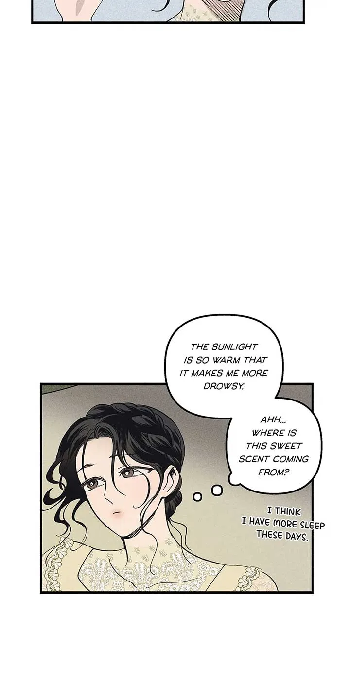 The Witches’ Isle Chapter 41 Online - página 14
