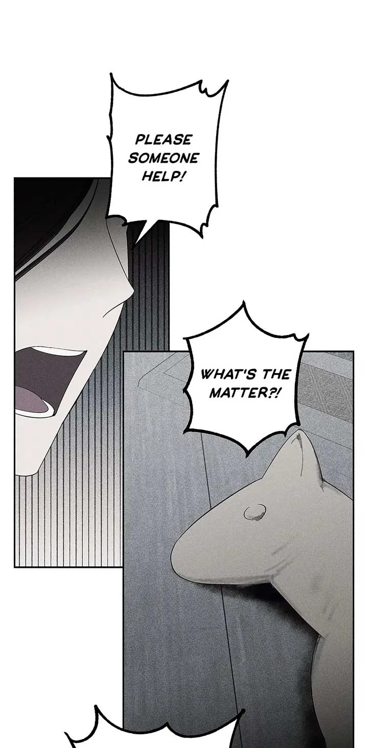 The Witches’ Isle Chapter 54 Online - página 5