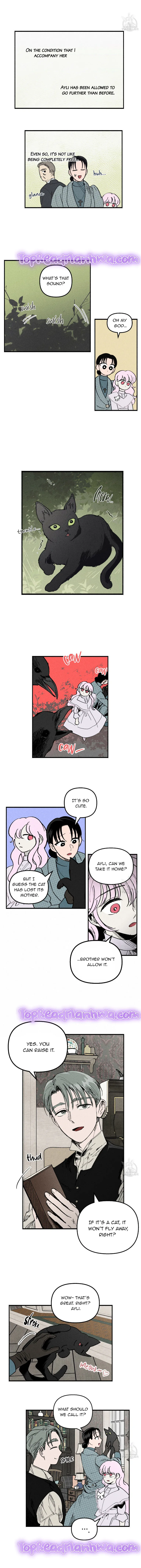 The Witches’ Isle Chapter 6 Online - página 5