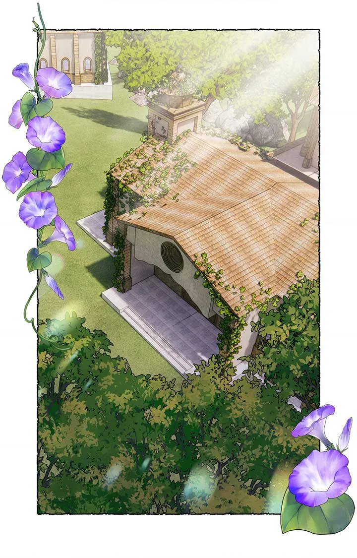 The Wizards Chapter 21 Online - página 25