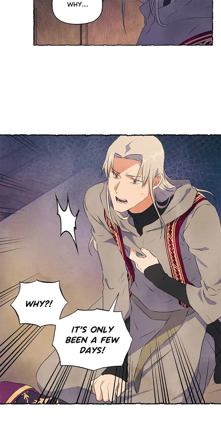 The Wizards Chapter 22 Online - página 40