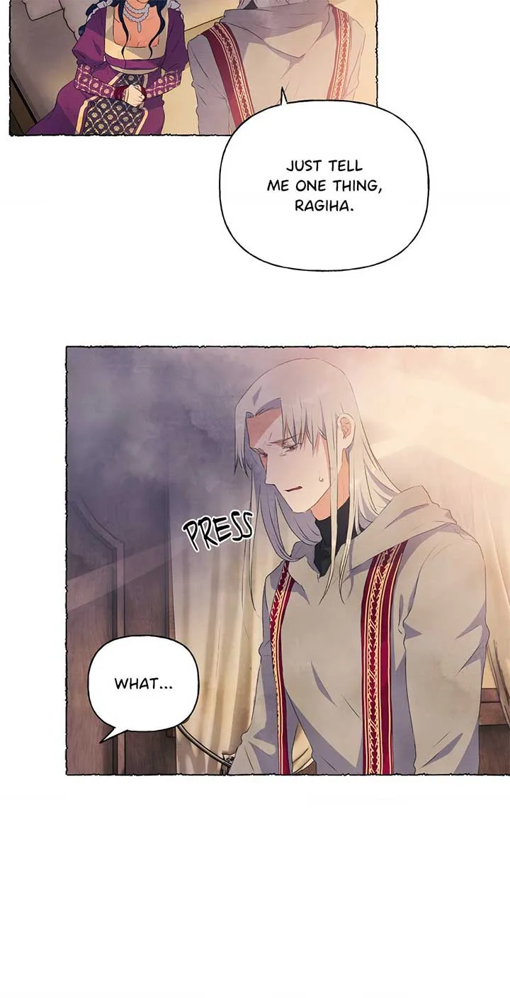 The Wizards Chapter 22 Online - página 42
