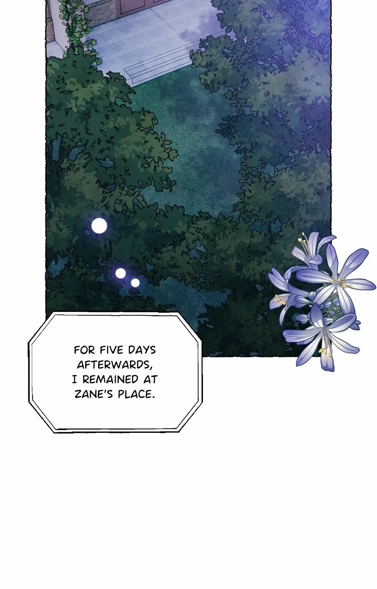 The Wizards Chapter 30 Online - página 24