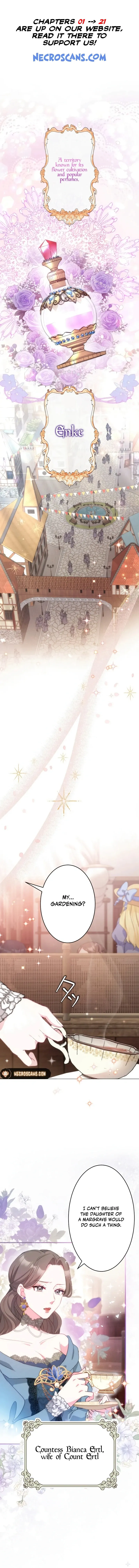 The Young Lord of House Finlanz Chapter 12 Online - página 2