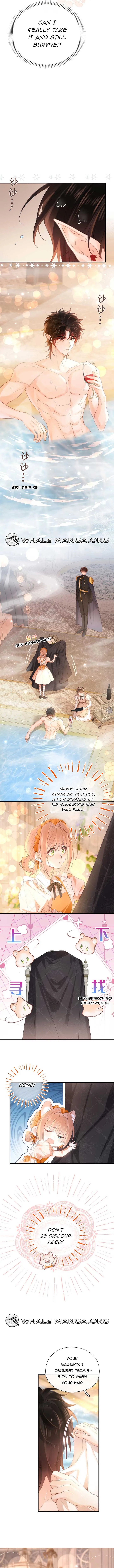 Their Trap Chapter 3 Online - página 4