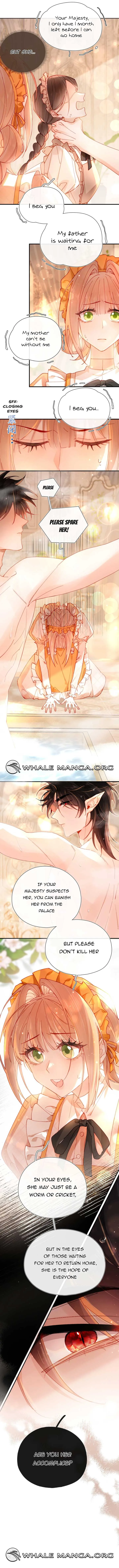 Their Trap Chapter 3 Online - página 7