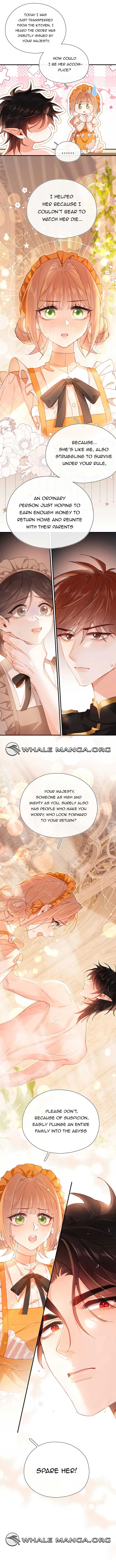 Their Trap Chapter 3 Online - página 8