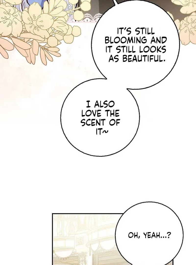 There is no forgiveness from the regressed lady Chapter 3 Online - página 41
