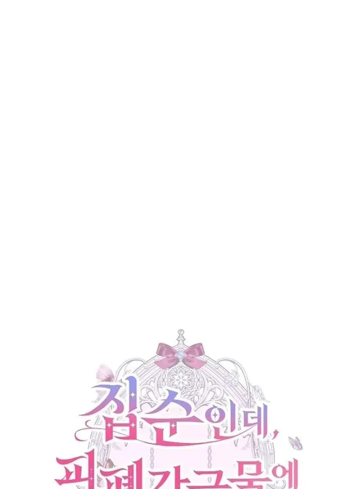 Though I’m a Homebody, I Found Myself in a Dark Captive Genre Chapter 20 Online - página 25