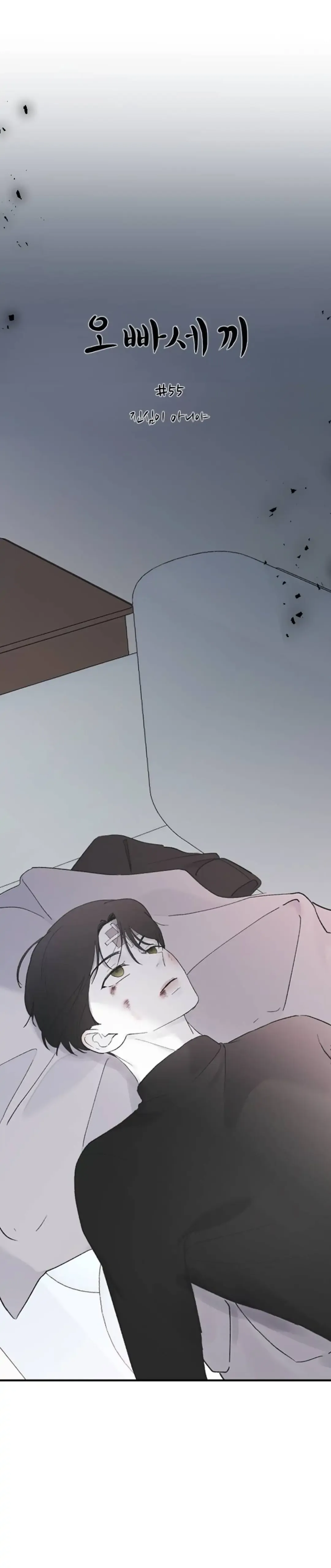Three Brothers Chapter 55 Online - página 13