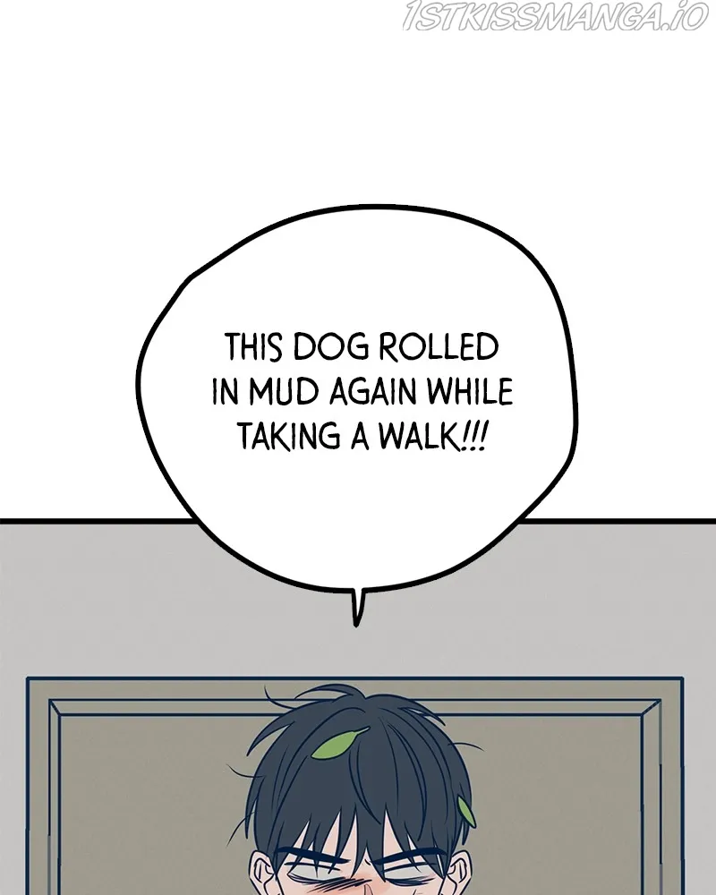 Throw the Trash in the Trash cane Chapter 16 Online - página 177