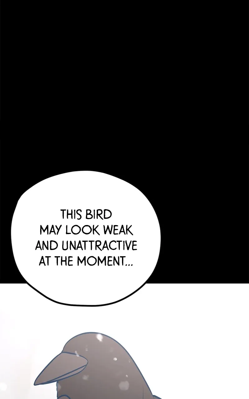 Throw the Trash in the Trash cane Chapter 49 Online - página 10