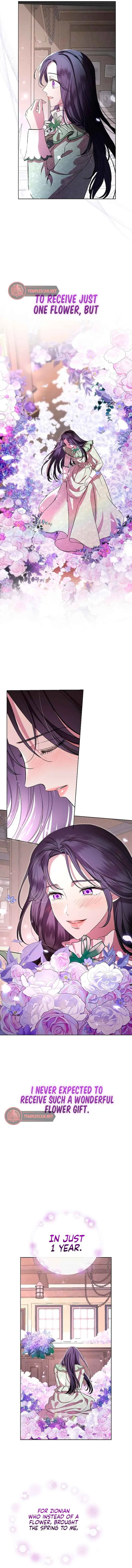 To My Husband’s Mistress Chapter 13 Online - página 13