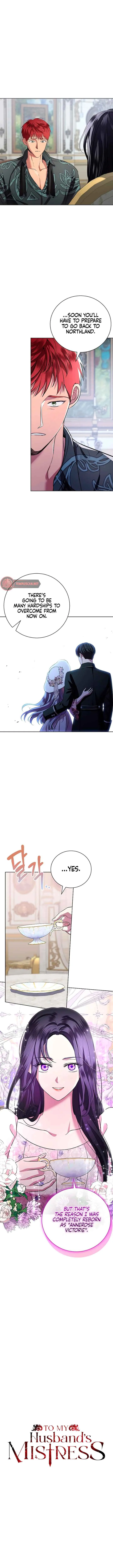 To My Husband’s Mistress Chapter 14 Online - página 5