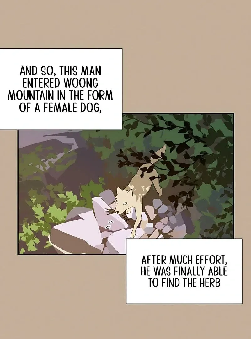 Today Is a Woman Day Chapter 1 Online - página 47