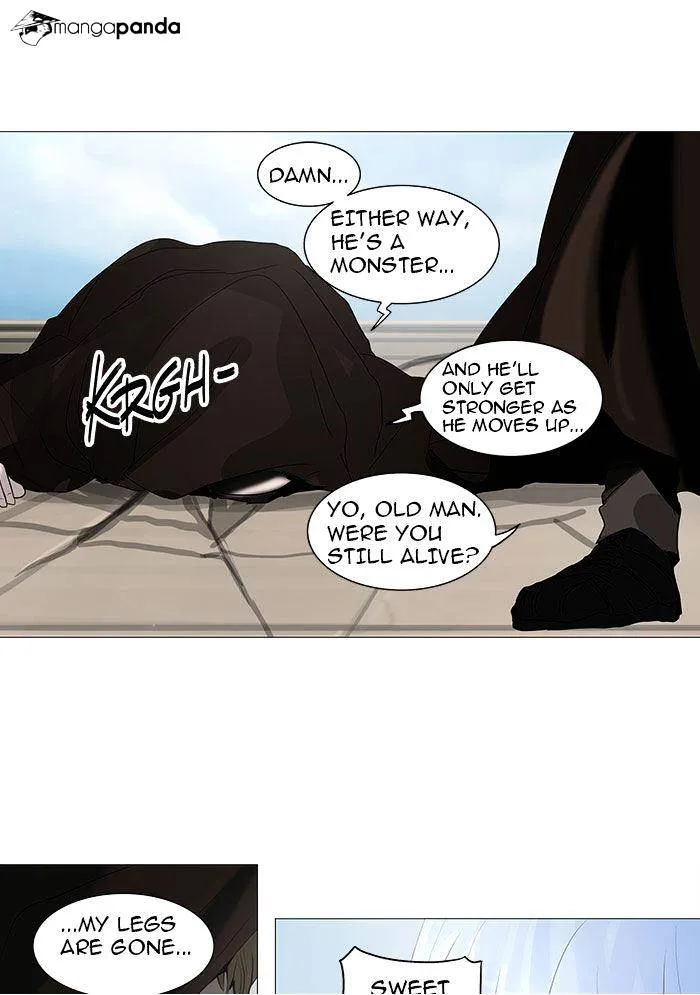 Tower of God Chapter 228 Online - página 25