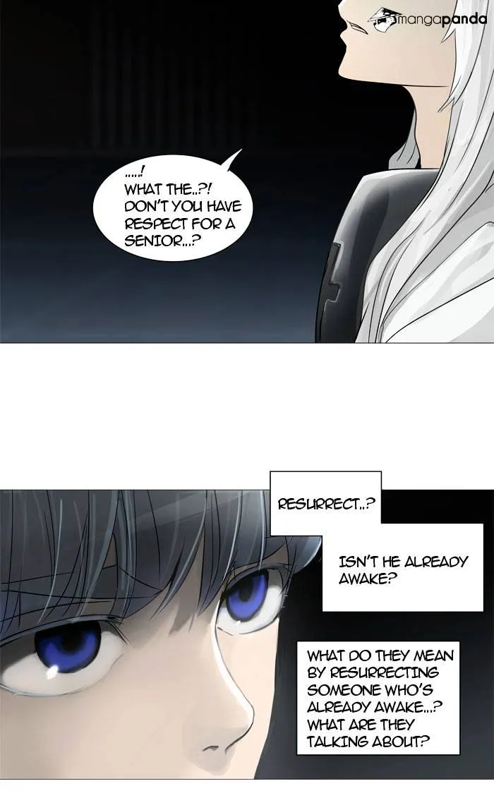 Tower of God Chapter 245 Online - página 29