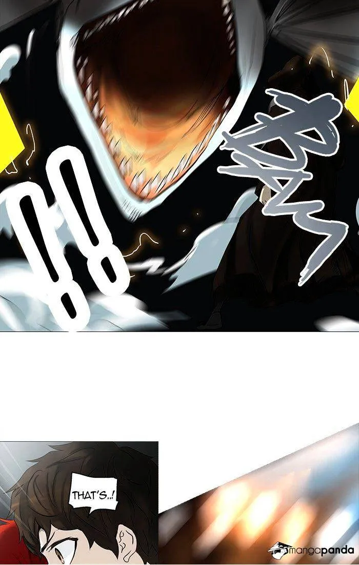 Tower of God Chapter 253 Online - página 45