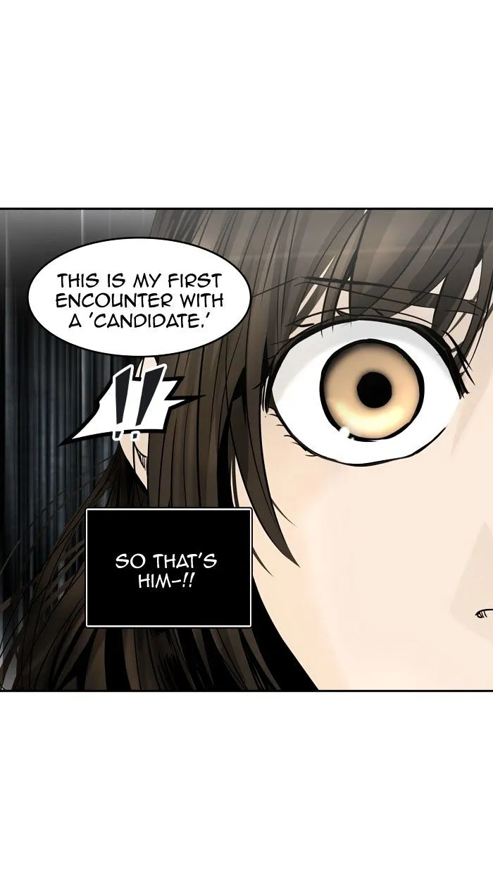 Tower of God Chapter 305 Online - página 45