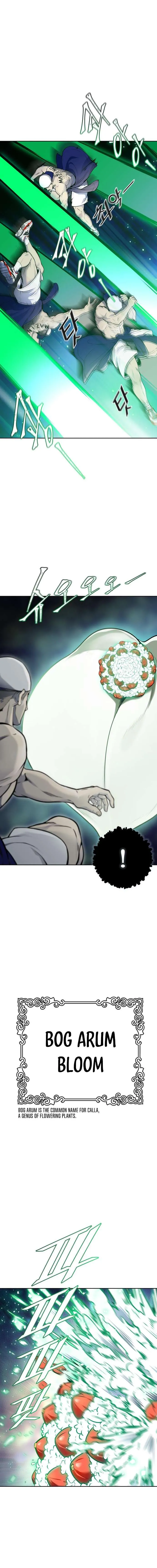 Tower of God Chapter 599 Online - página 13