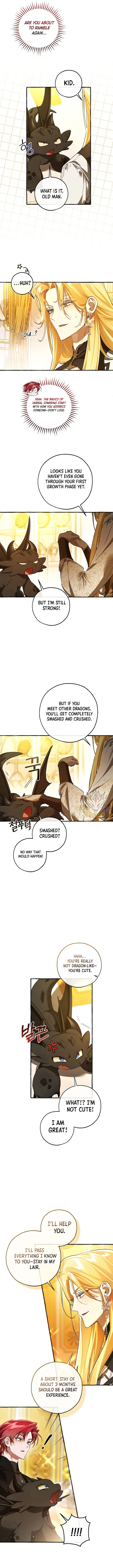 Trash of the Count’s Family Chapter 145 Online - página 11