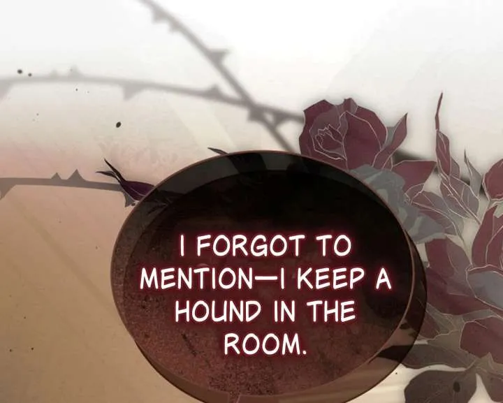 Try Begging Me Chapter 60 Online - página 205