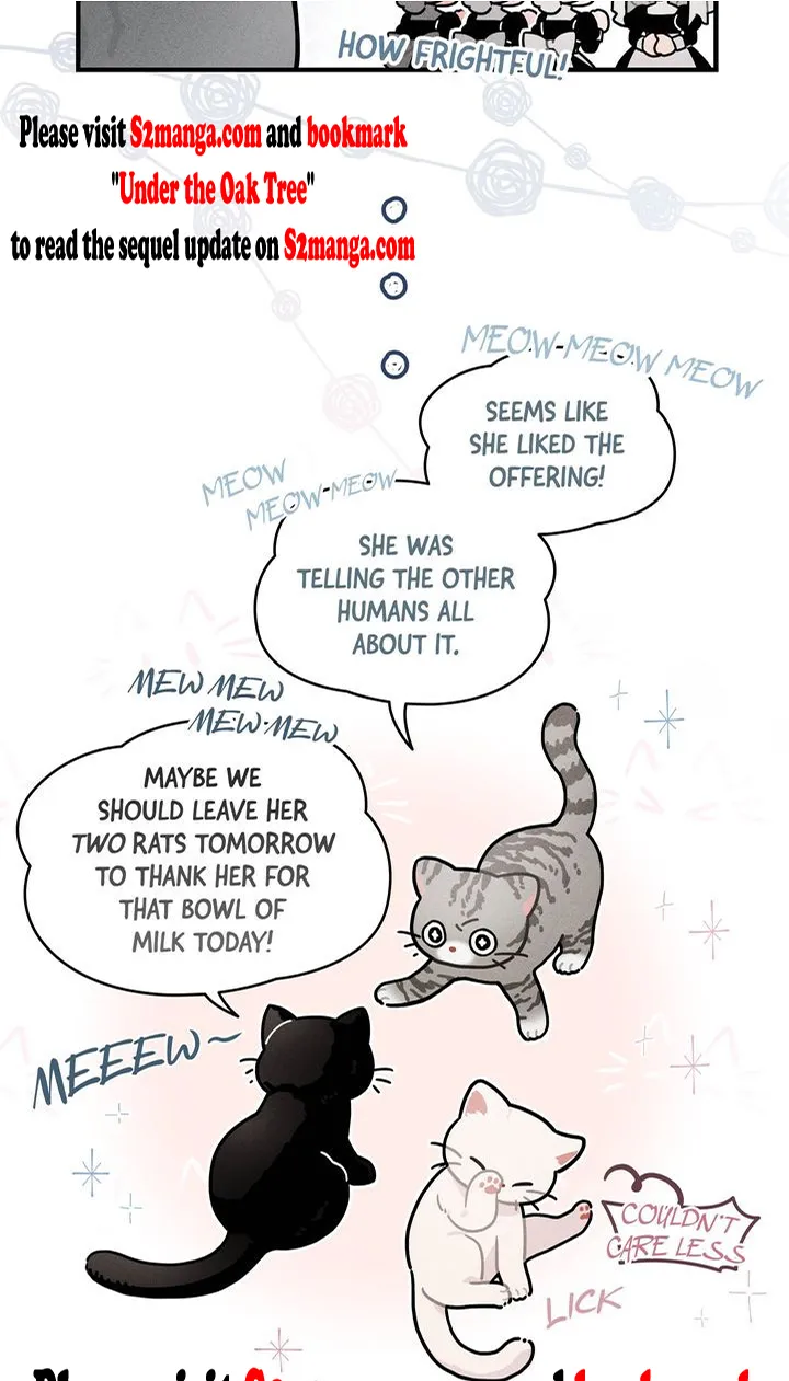 Under the Oak Tree Chapter 64.11 Online - página 3