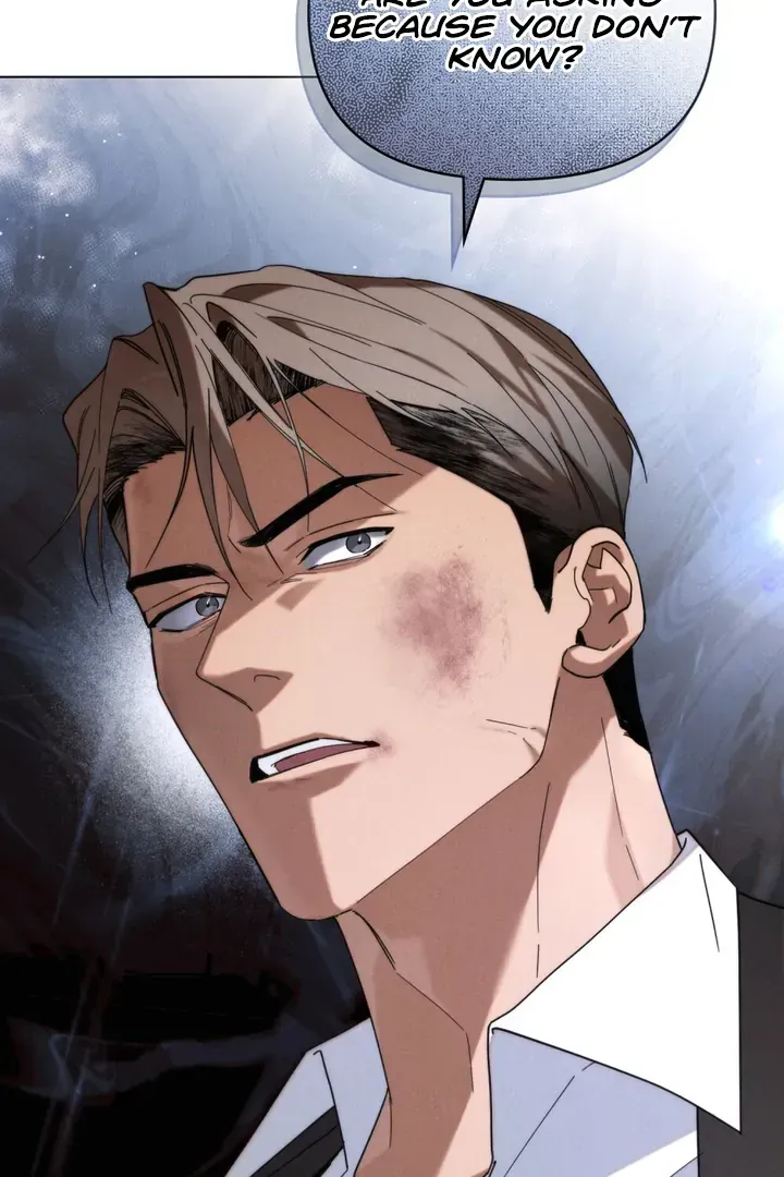 Undercover Darling Chapter 27 Online - página 62