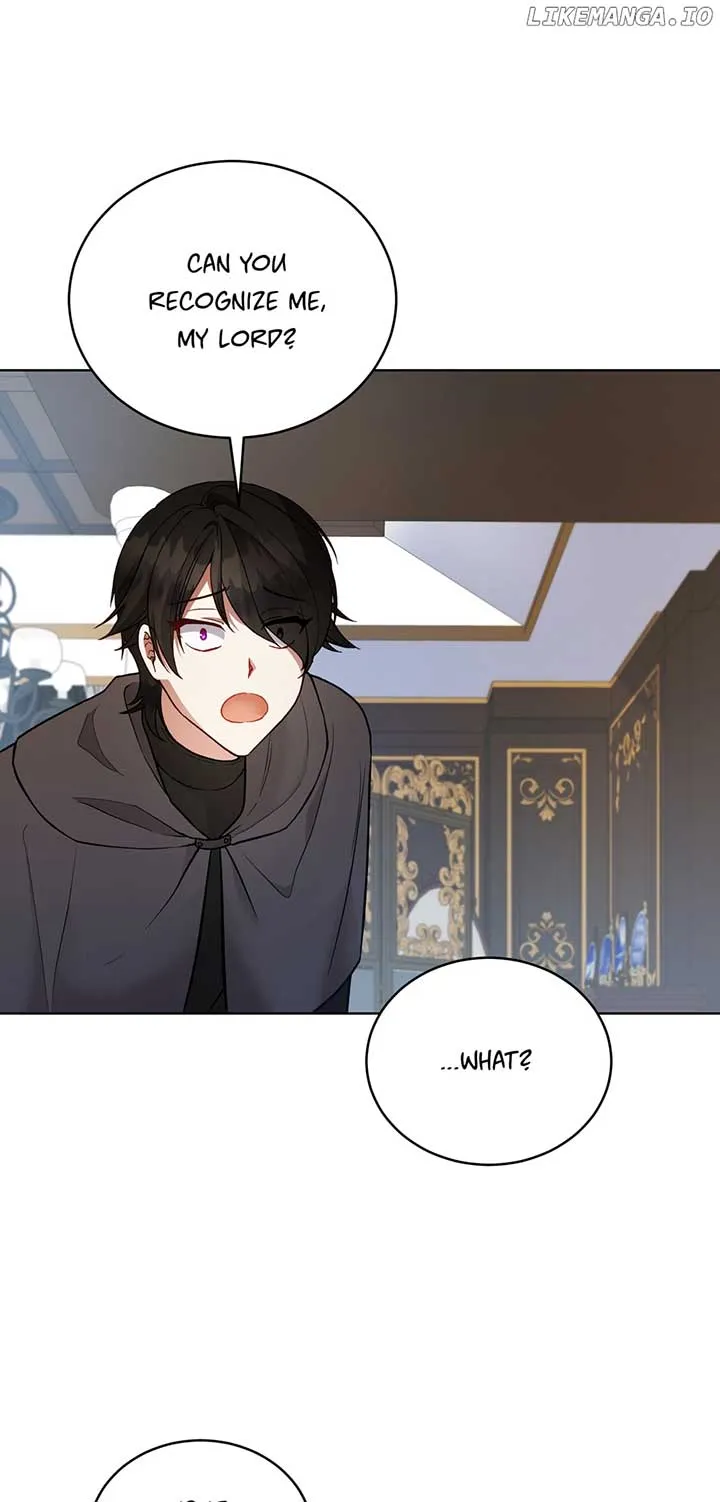 Untouchable Lady Chapter 121 Online - página 31