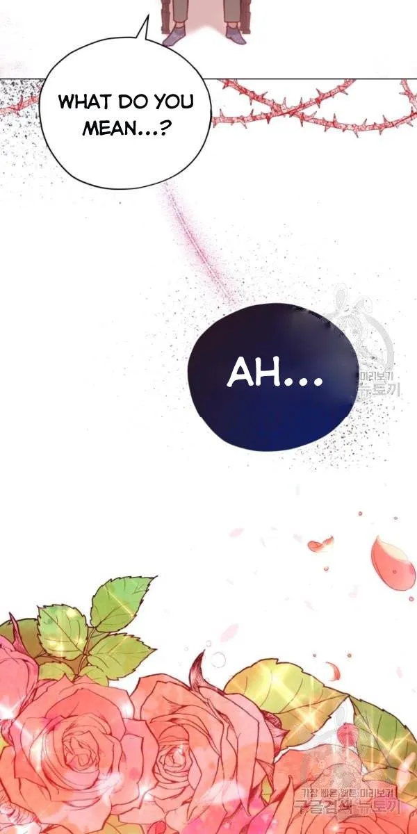Untouchable Lady Chapter 33.5 Online - página 23